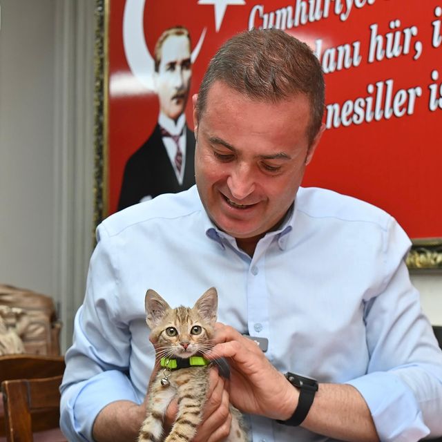 Balıkesir İtfaiyesi Minik Kedi Biber’i Yangından Kurtardı