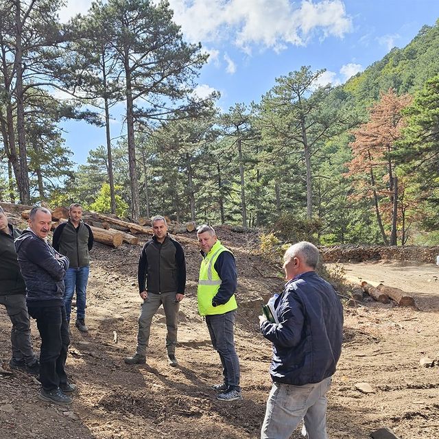 Balıkesir Orman Bölge Müdürlüğü Kazdağı Karaçam Ormanları’nı Gençleştiriyor