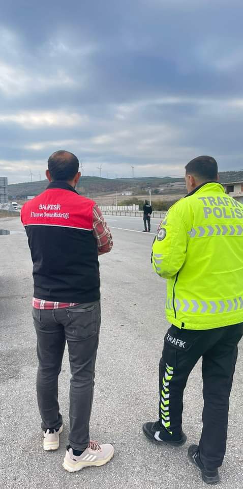 Balıkesir İl Tarım ve Orman Müdürlüğü’nden Hayvan Hareketleriyle İlgili Denetim