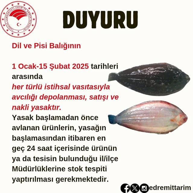 Edremit’te Dil ve Pisi Balığı Avcılığına Dönemsel Yasak Getirildi