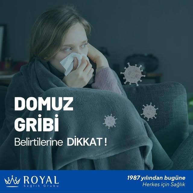 Domuz Gribi Belirtileri ve Dikkat Edilmesi Gerekenler