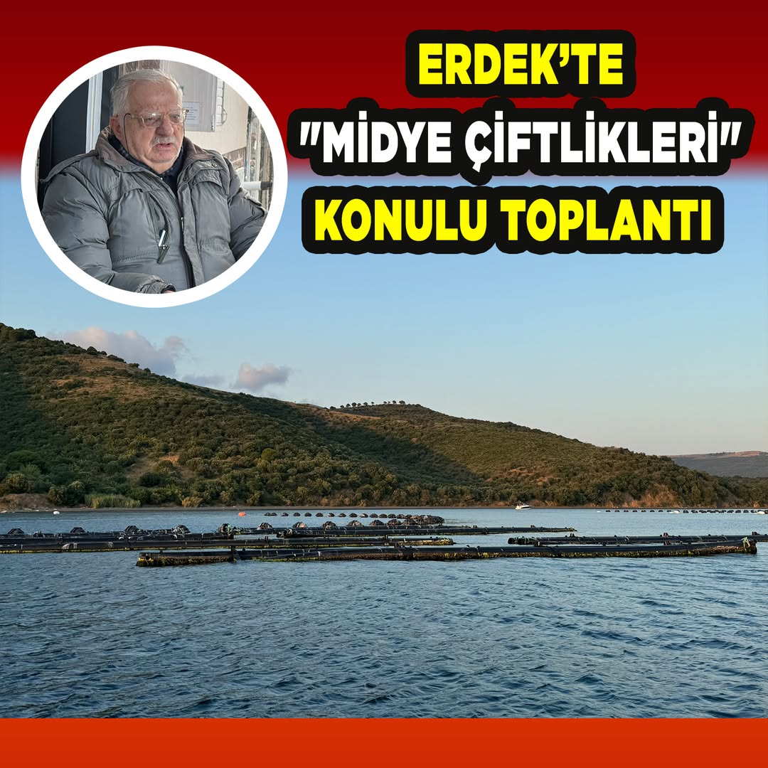 Erdek’te Midye Çiftlikleri Hakkında Bilgilendirme Toplantısı Düzenleniyor