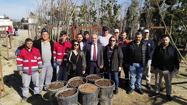 Bandırma Belediyesi’nden Fidan Hazırlığı: Daha Yeşil Bir Gelecek İçin